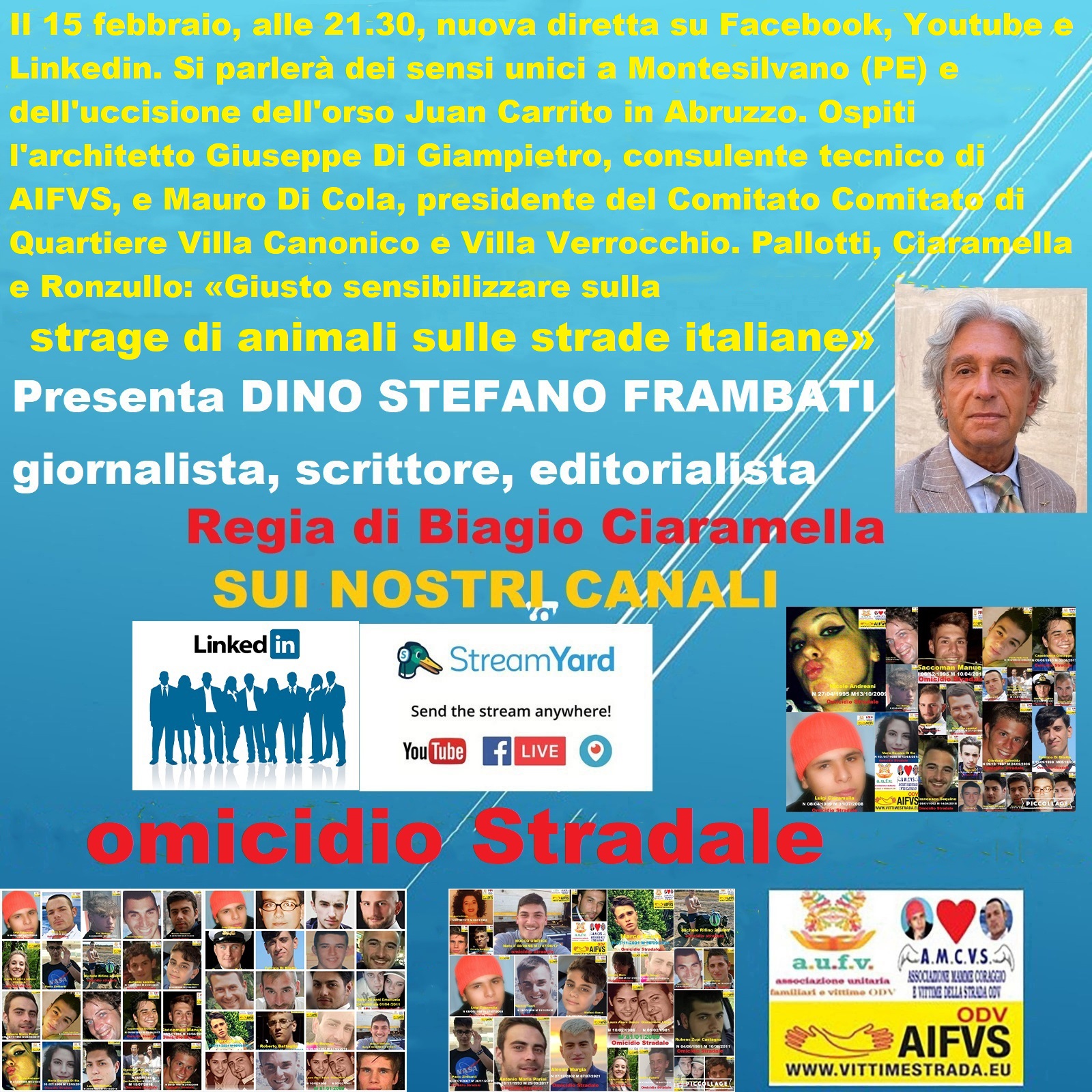 Il 15 febbraio, alle 21.30, nuova diretta su Facebook, Youtube e Linkedin. Si parlerà dei sensi unici a Montesilvano (PE) e dell'uccisione dell'orso Juan Carrito in Abruzzo. Ospiti l'architetto Giuseppe Di Giampietro, consulente tecnico di AIFVS, e Mauro